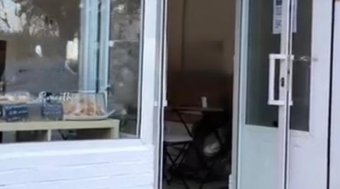 Photo 3 of Premises for rent in Avenida de Alemania, 38, El Cano - Los Bermejales,  Sevilla Capital