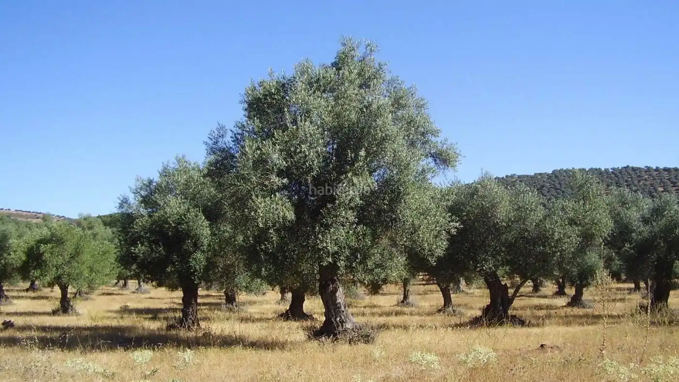 Terreni e lotti in vendita a Avenida Circunvalación 109