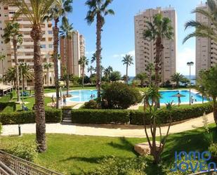 Piscina de Apartament de lloguer en El Campello amb Aire condicionat, Calefacció i Parquet