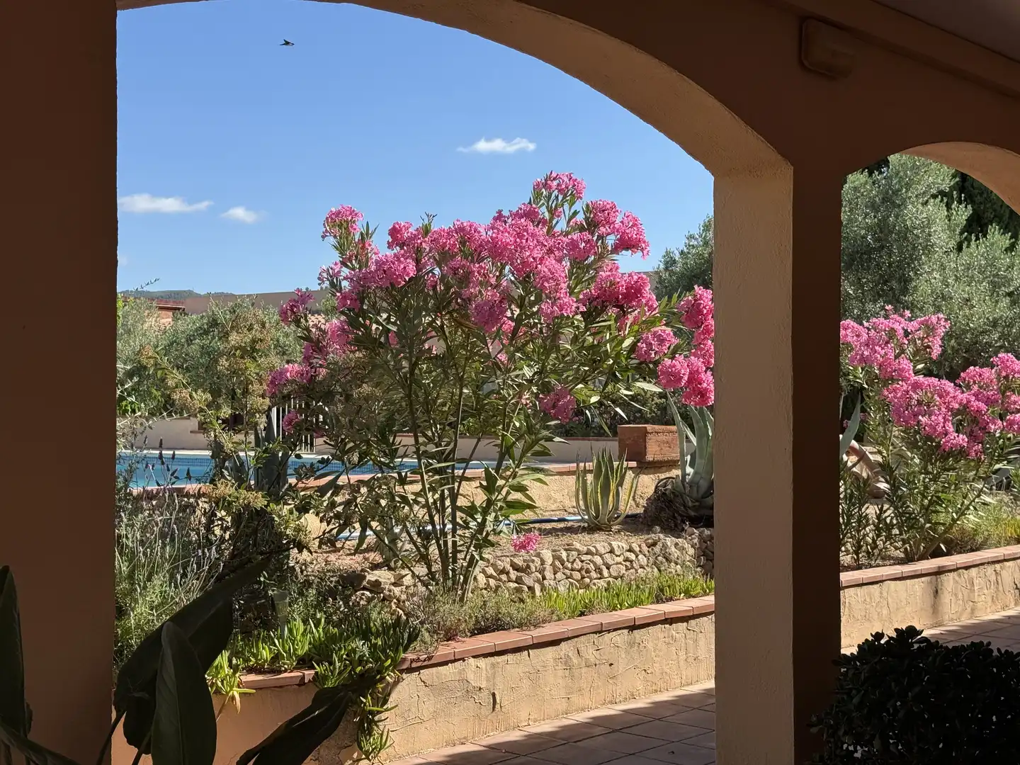 Landhaus mit Pool zum Verkauf in El Molar (Tarragona), imagen 9