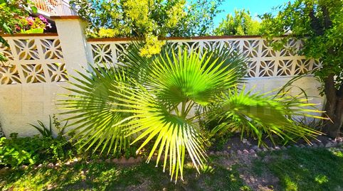 Foto 5 de Casa adosada en venta en Solymar, Benalmádena