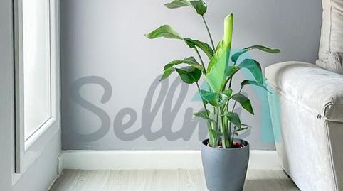 Foto 4 de Piso en venta en Cienfuegos, Ceares, Gijón