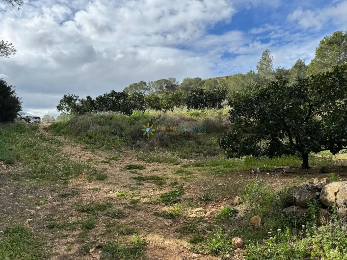 Rural land for sale in Benigànim, imagen 7