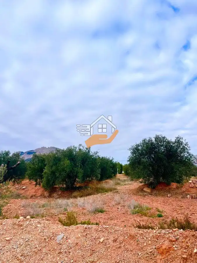 Residential land for sale in Vélez-Rubio, imagen 10