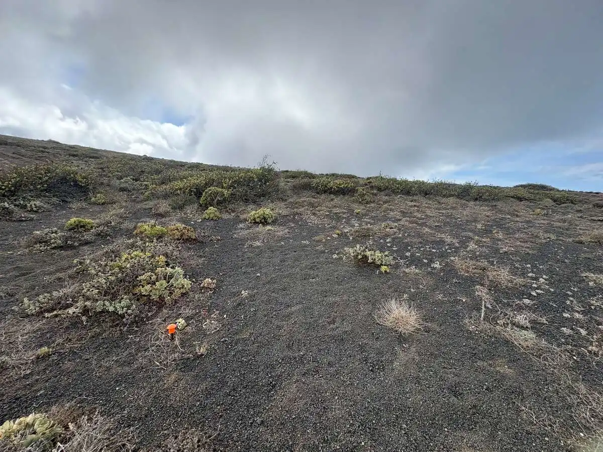 Rural land for sale in Haría pueblo, imagen 4