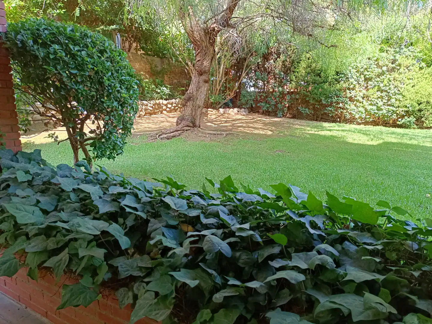Flat for rent in Carrer Pau Casals, Finestrelles
