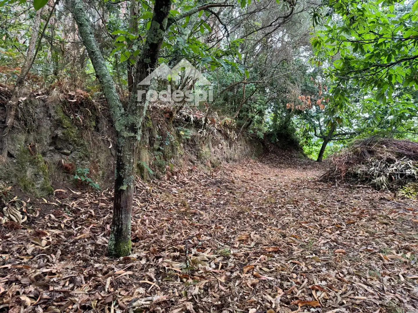 Haus oder Chalet zum Verkauf in Sanxenxo mit Heizung, Abstellraum und Möbliert