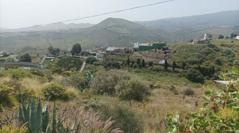 Terreno RÚSTICO AGRARIO de 2.250m2 en el PALMITAL, imatge 3