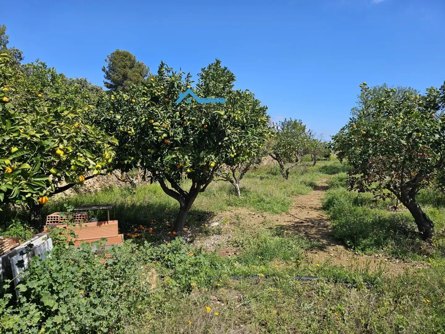 Finca rústica en venta en La Nucia con Jardín privado, Terraza y Trastero