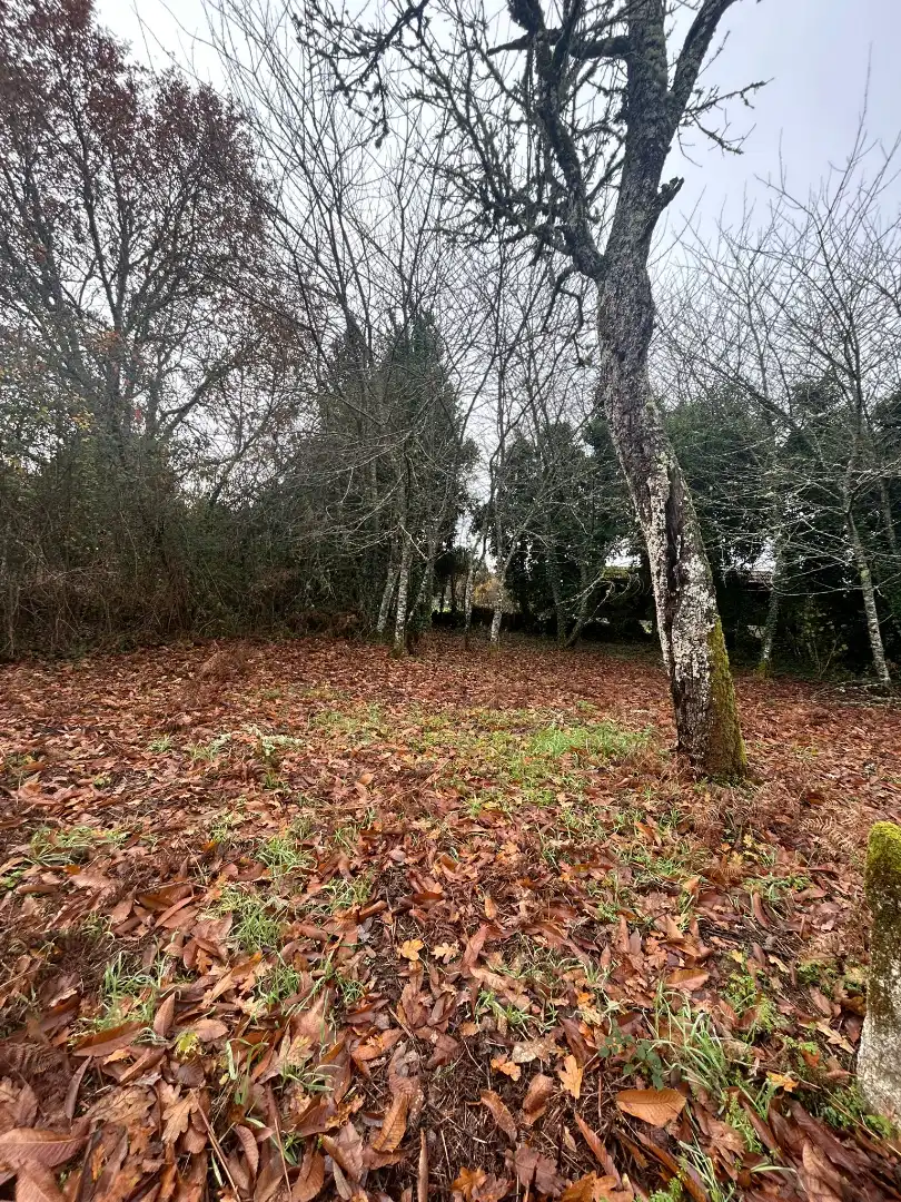 Maison à vendre à Aldea Filgueira, imagen 2