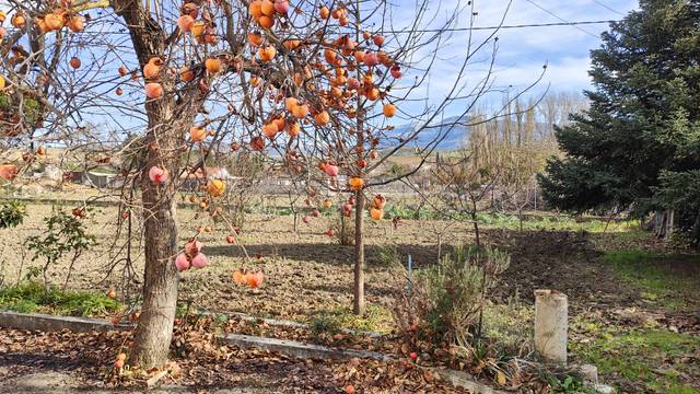 Terreno en Venta en Partidas Norte