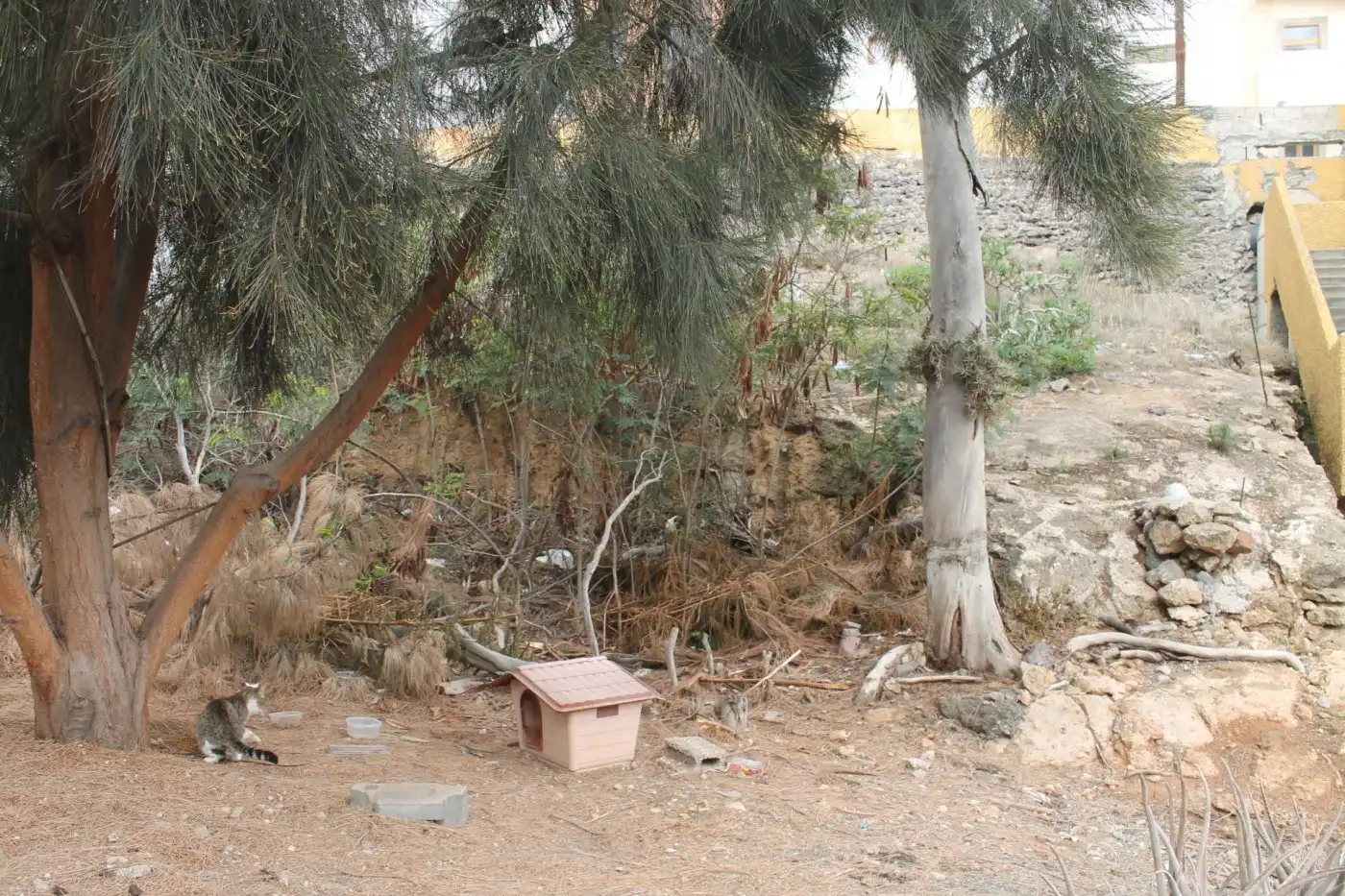 Exterior view of Residential for sale in Telde