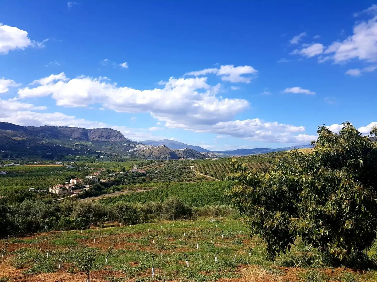 Vista exterior de Casa o xalet en venda en Pizarra amb Aire condicionat, Calefacció i Jardí privat