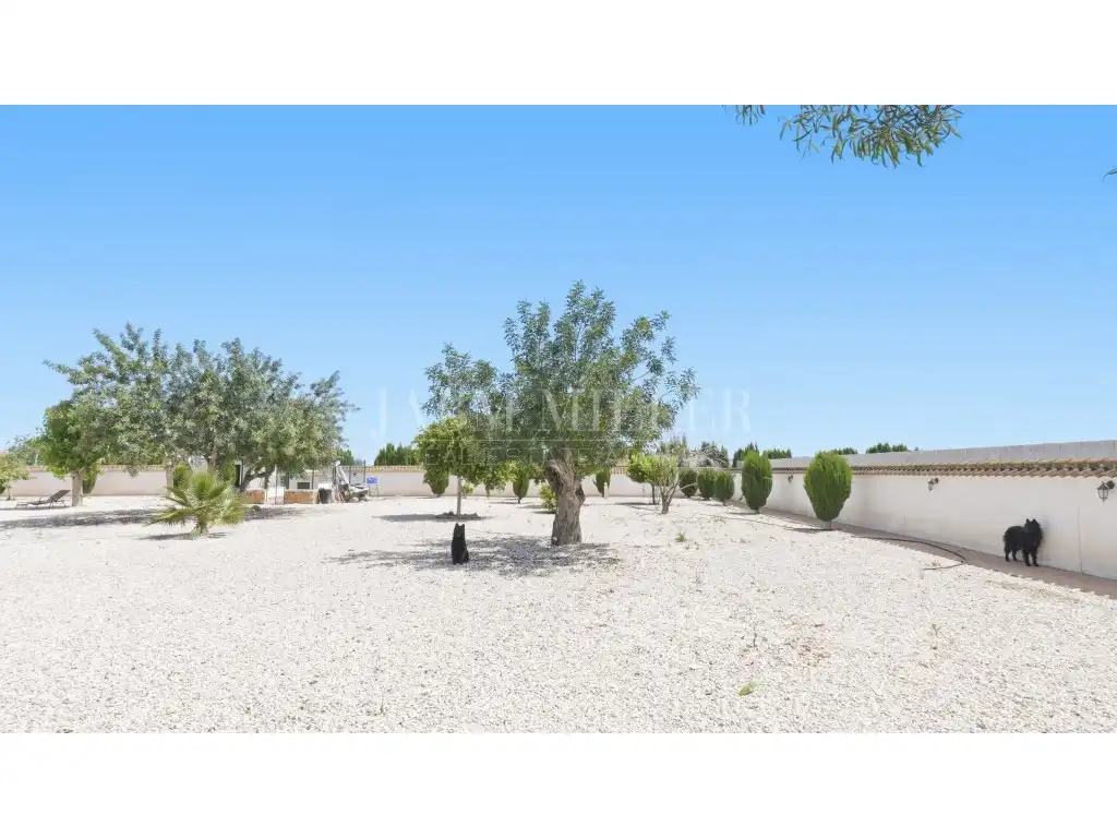 Maison avec jardin à vendre à Dolores, imagen 102