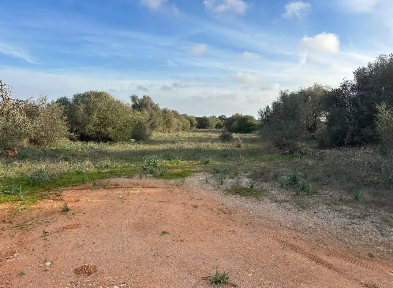 Terreny residencial en venda a Ses Salines Poble, imagen 11