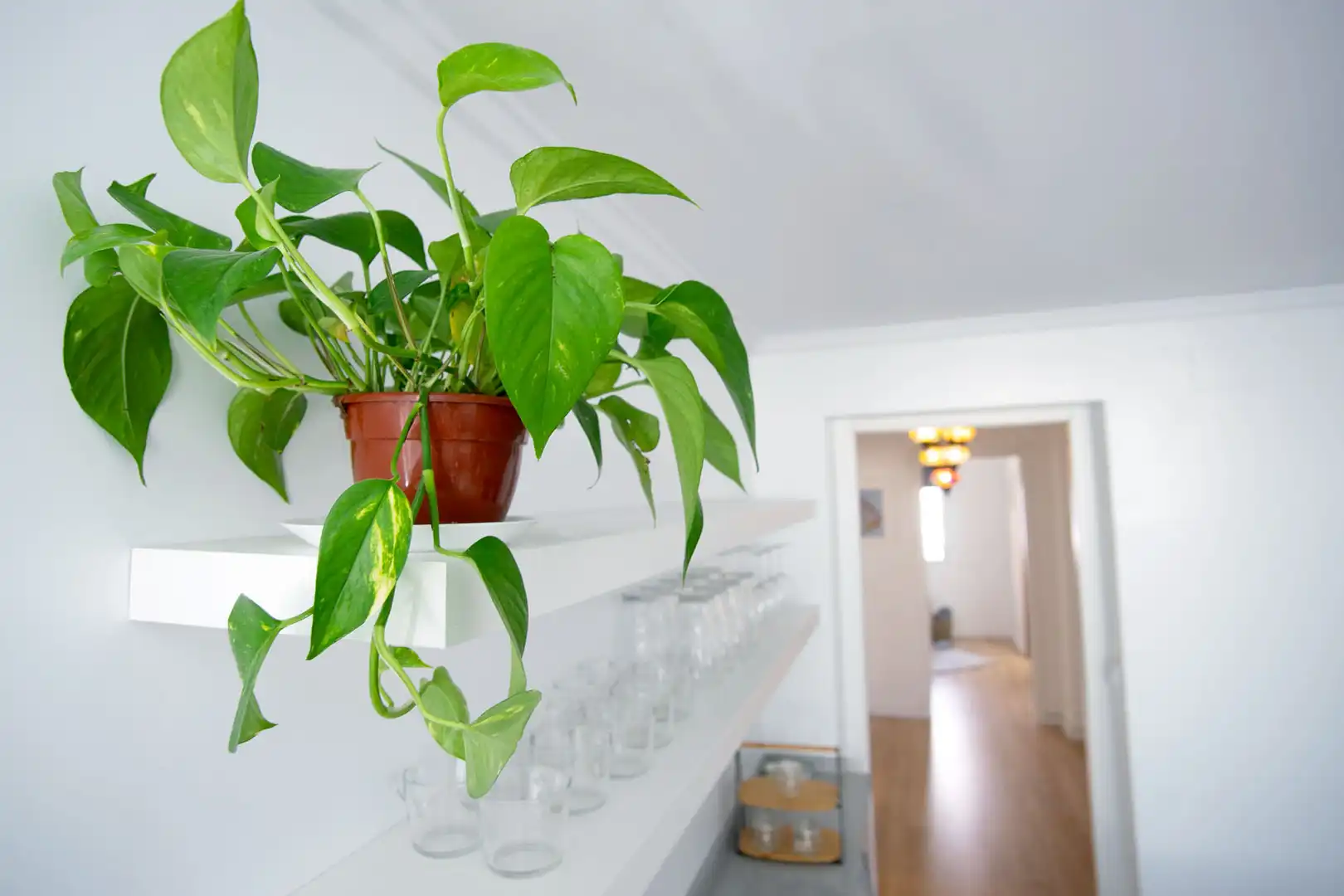 Casa o chalet en venta en Valencia con Aire acondicionado, Calefacción y Parquet