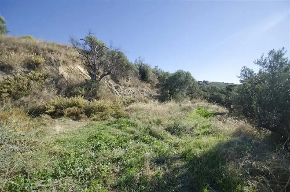 Terreno rústico en venta en Sedella, imagen 8