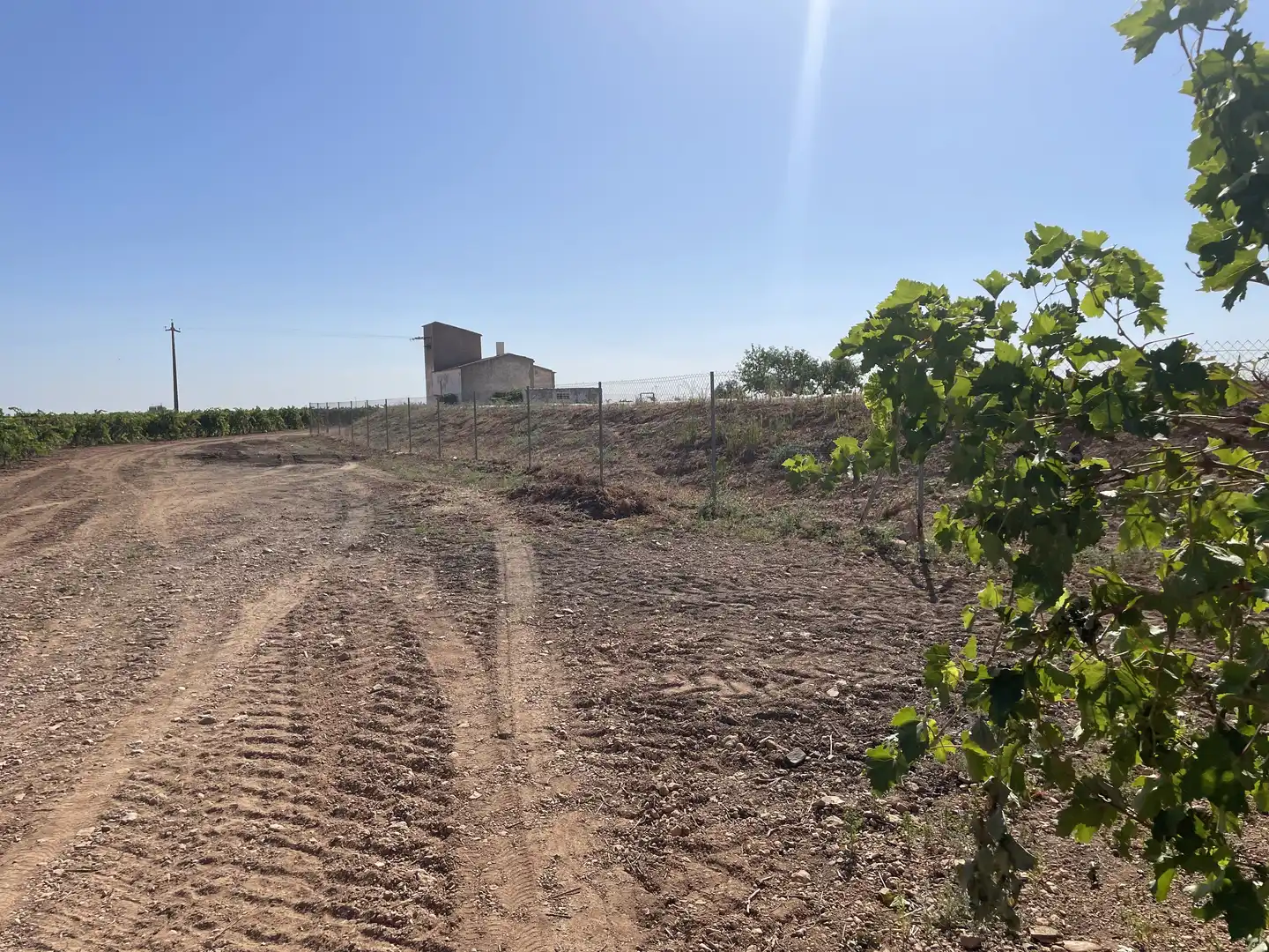 Rural land for sale in Argamasilla de Alba, imagen 27