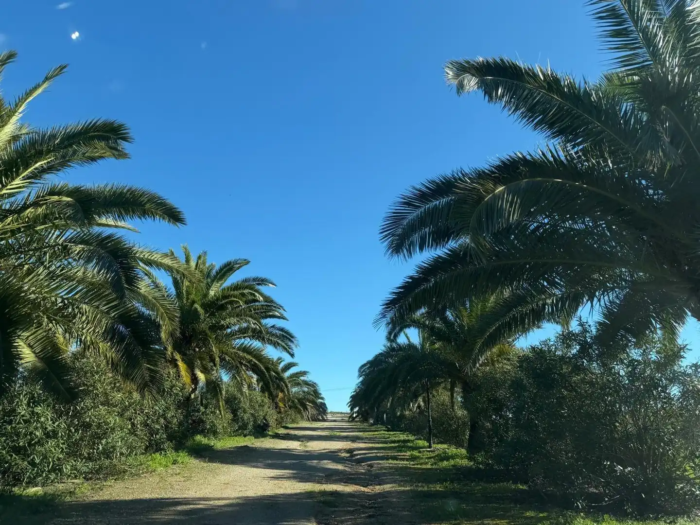 Country homes for sale in Arcos de la Frontera