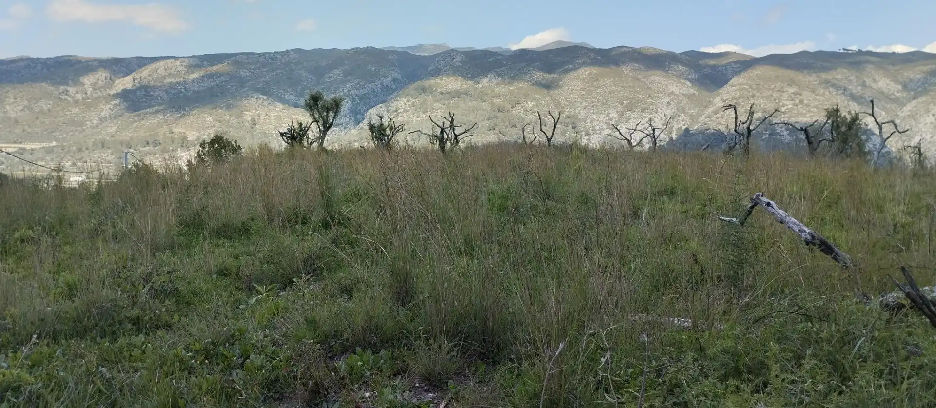 Terreny rústic en venda a La Vall de Gallinera, imagen 6