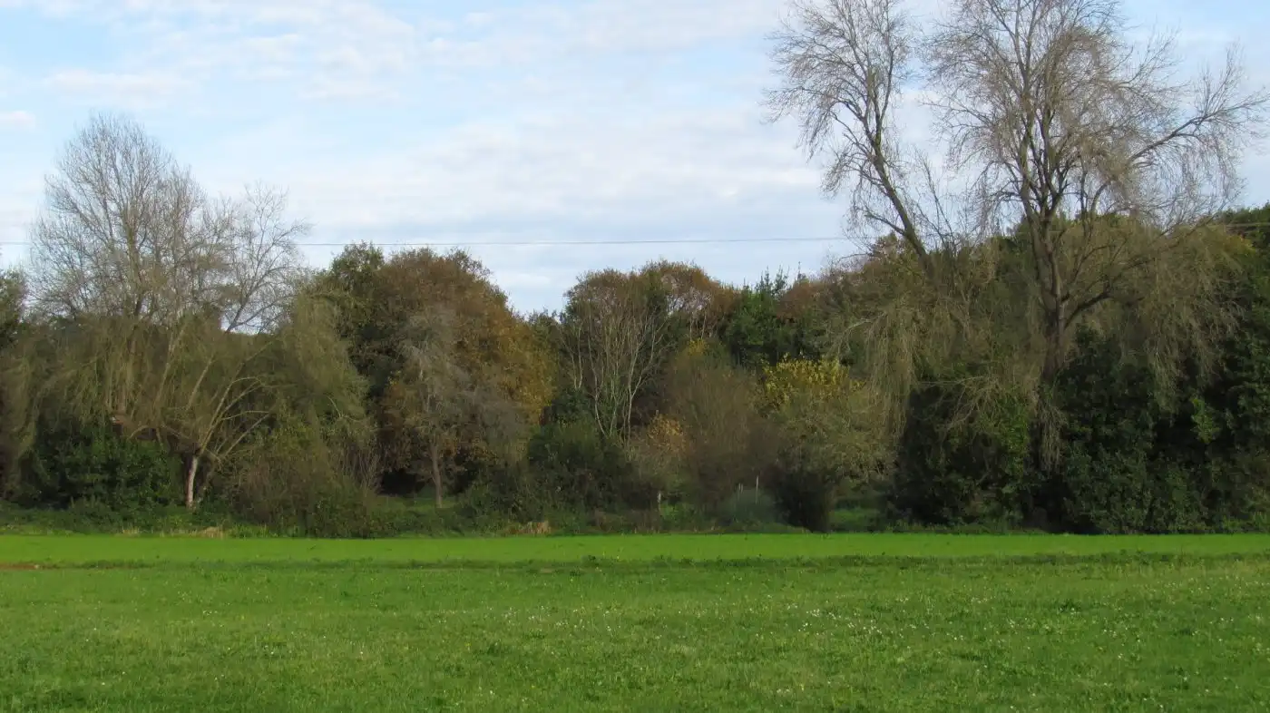 Country homes for sale in Ruiloba