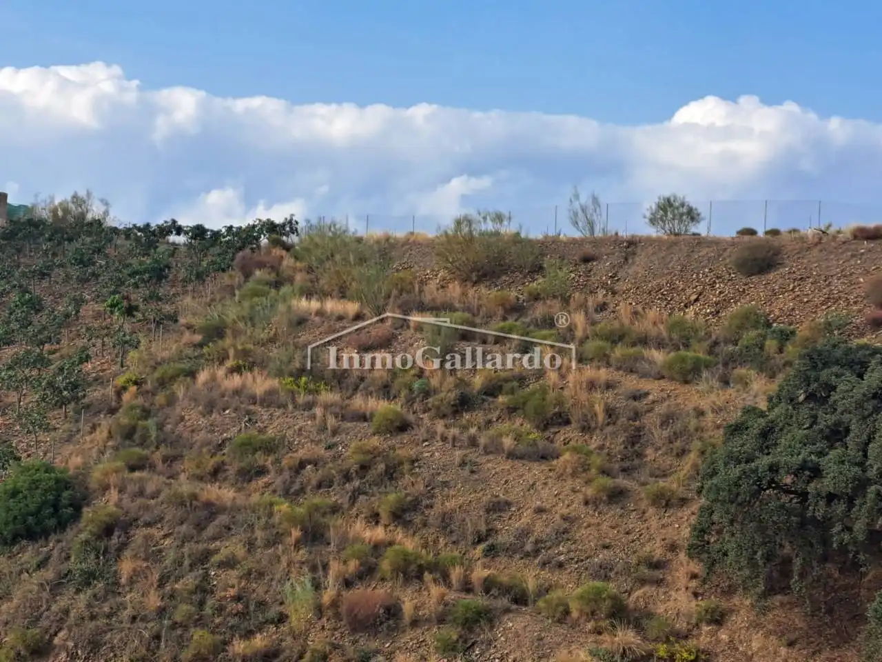 Terreni e lotti in vendita a Benajarafe, imagen 4