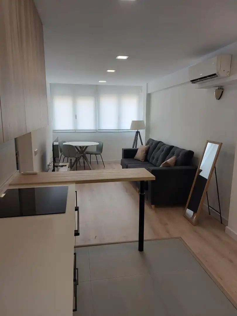 Sala d'estar de Pis en venda en Valencia amb Forn i Rentadora
