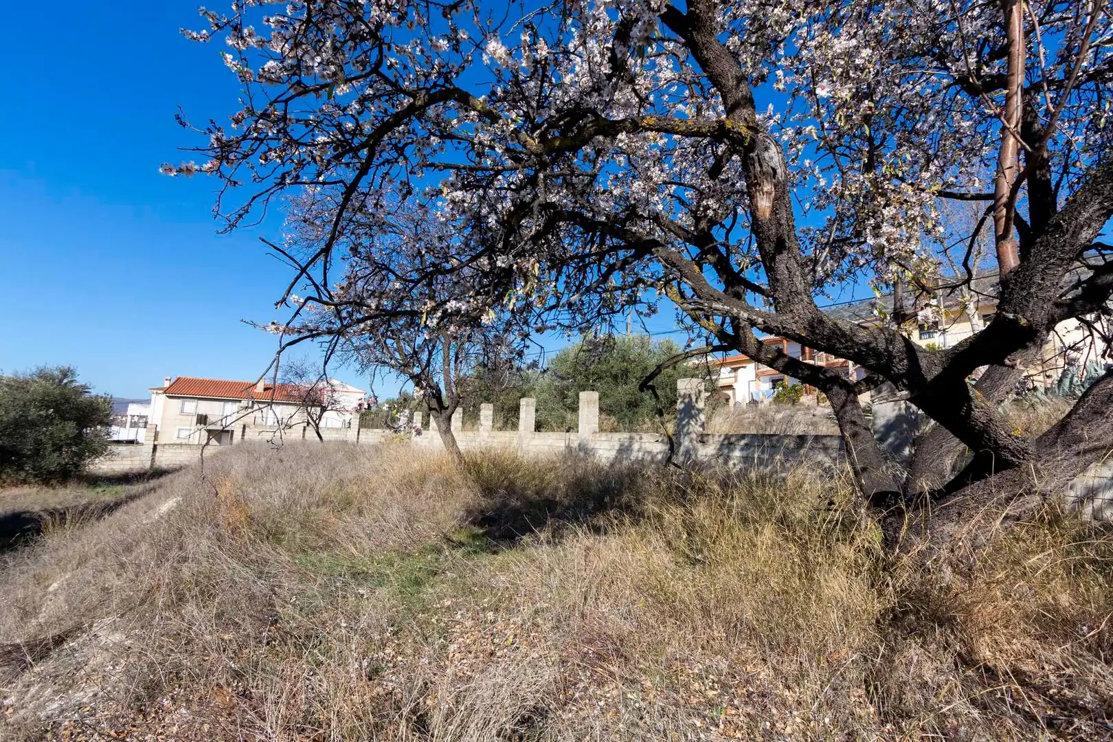Residential land for sale in Avenida de Andalucía 201, imagen 8