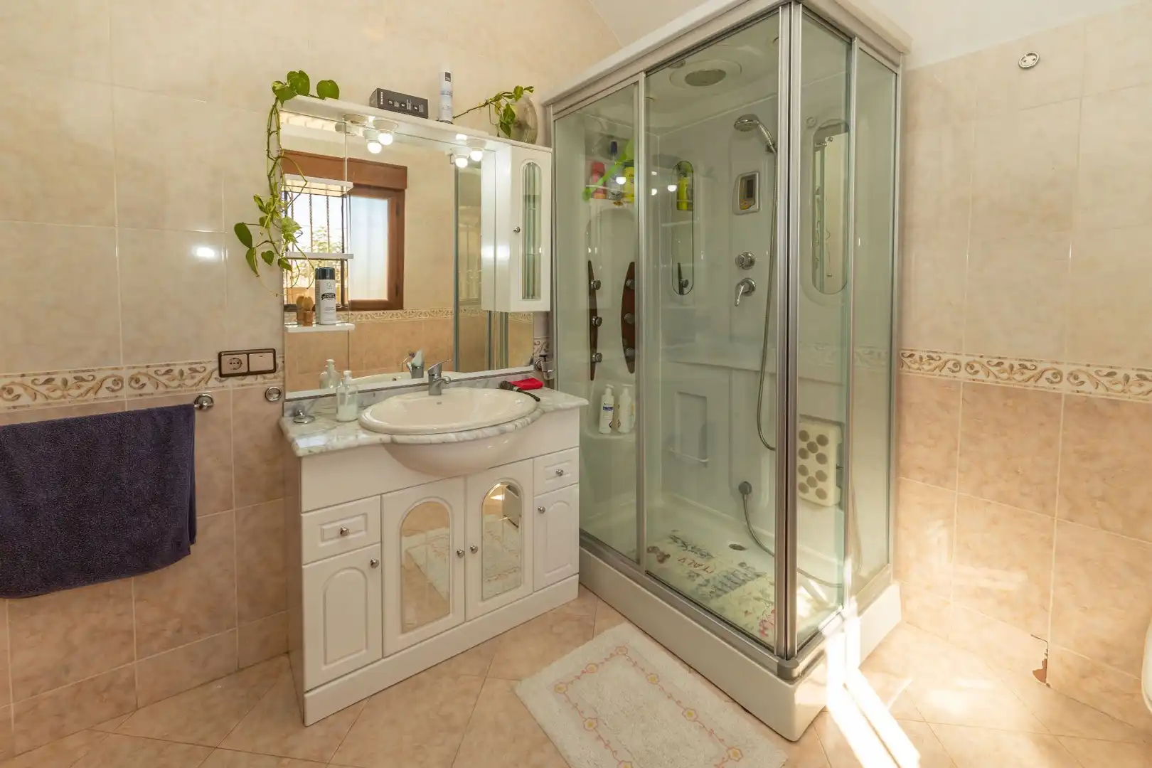 Bathroom of Country homes for sale in Guadix  with Terrace, Storage room and Furnished