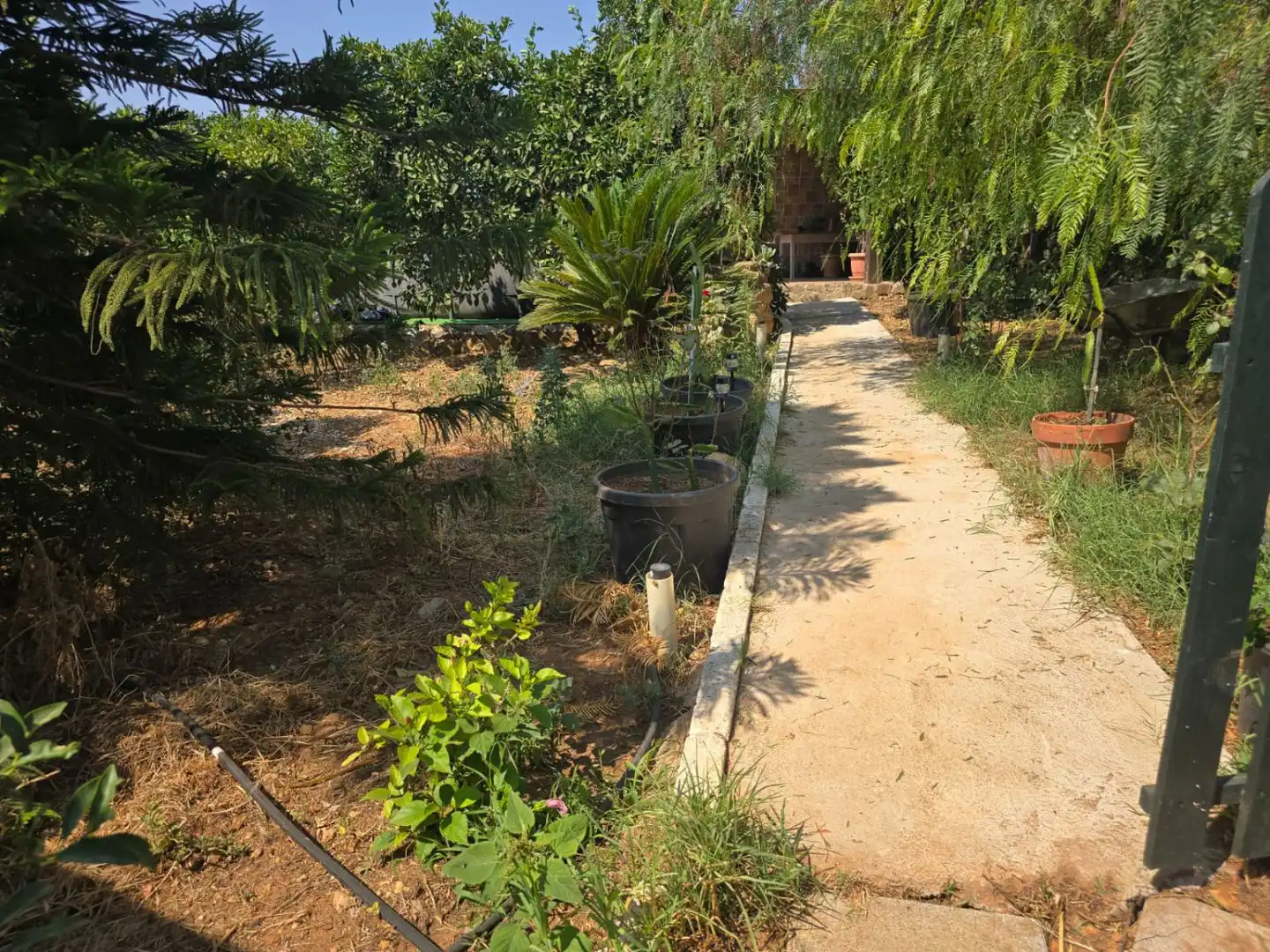 Chalet en venta en Nueva Alcalá, imagen 12