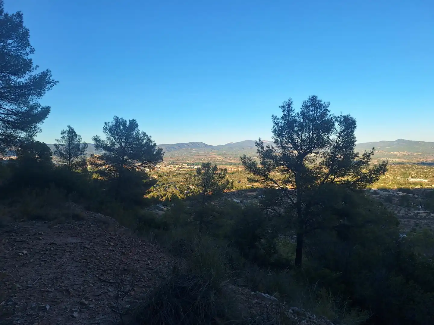 Rural land for sale in Castalla, imagen 14