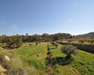 Casa o xalet en venda en Jumilla amb Internet