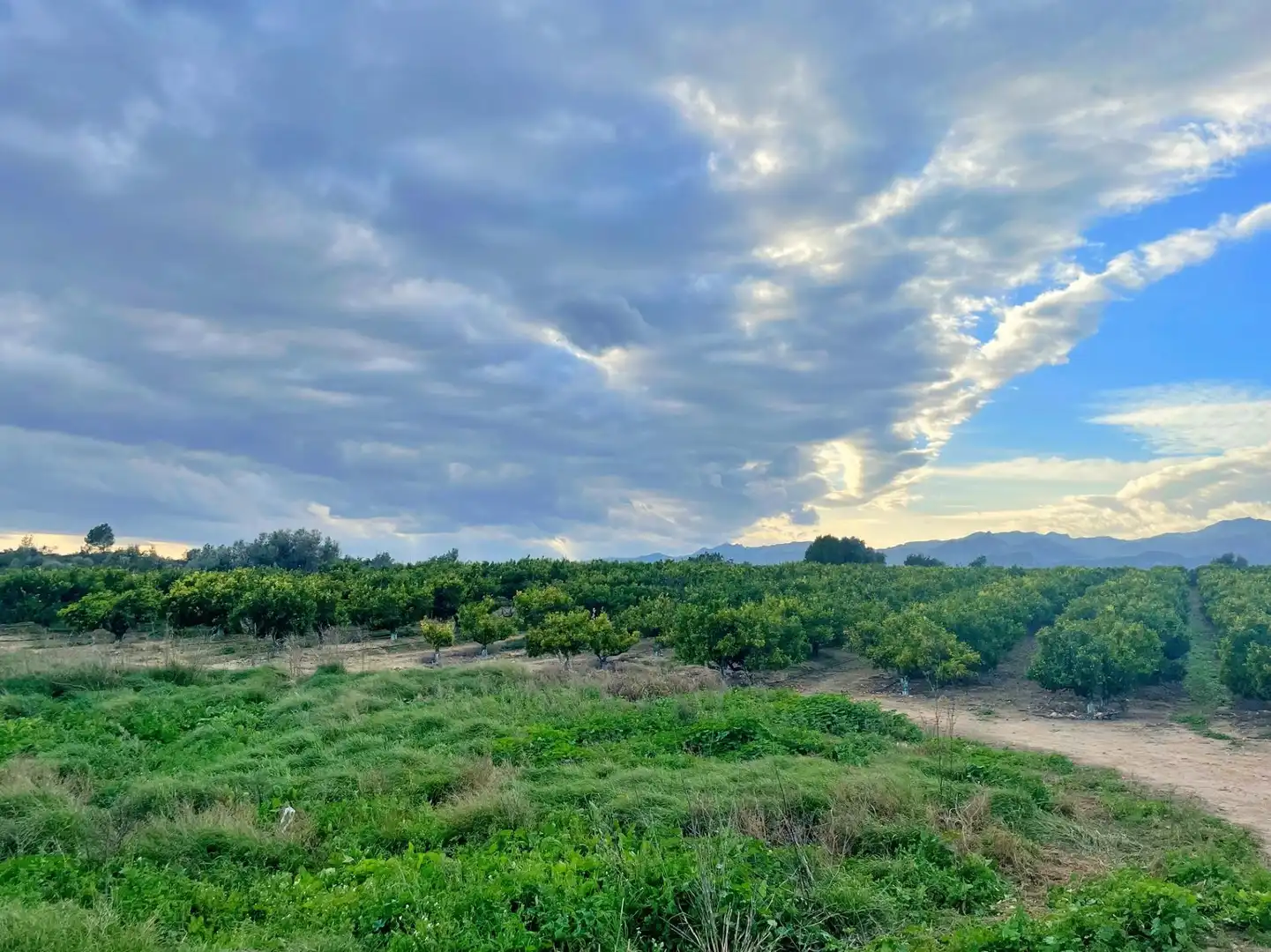 Casa o chalet en venta en Tortosa