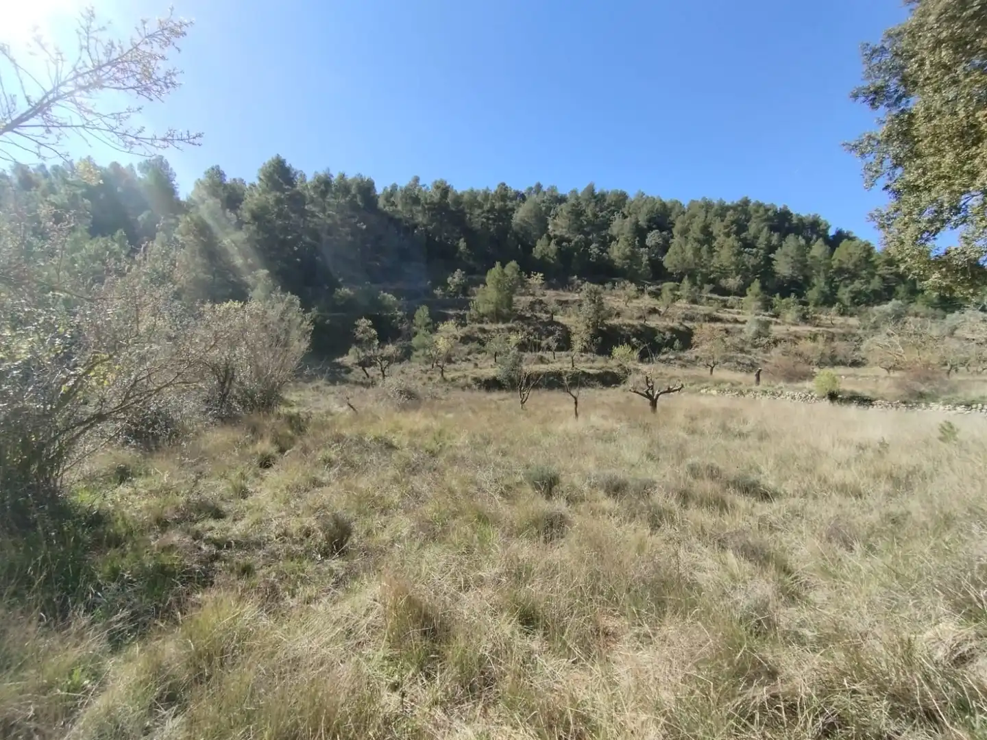 Terreni e lotti in vendita a Beceite, imagen 7