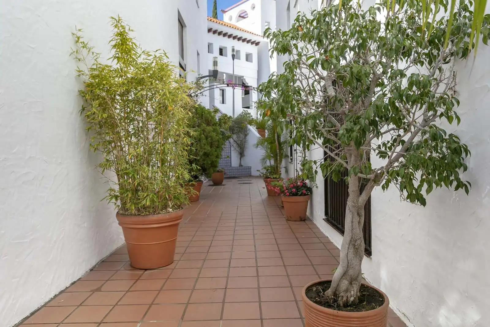 Pis amb piscina en venda a Nueva Andalucía, imagen 15