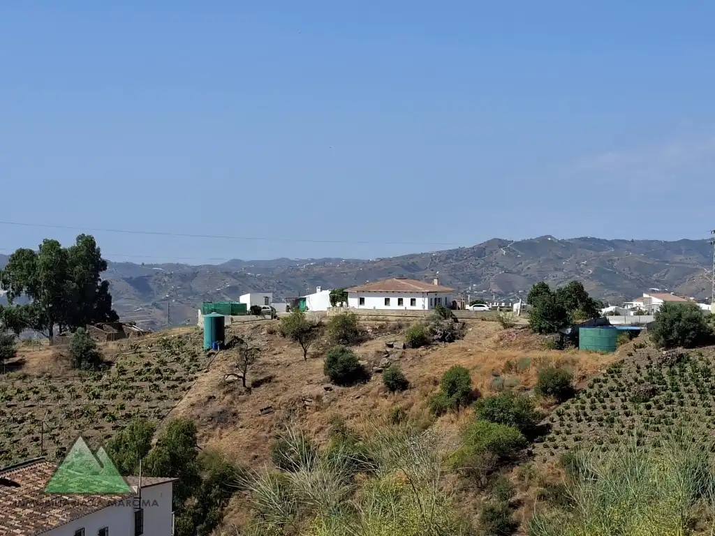 Vista exterior de Finca rústica en venta en Vélez-Málaga con Amueblado