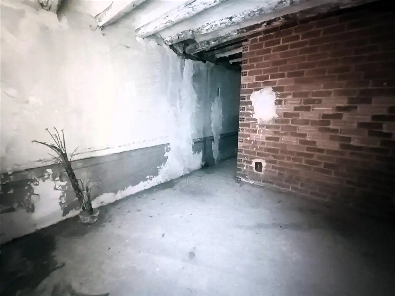 Casa amb jardí en venda a Ensenyança, imagen 5