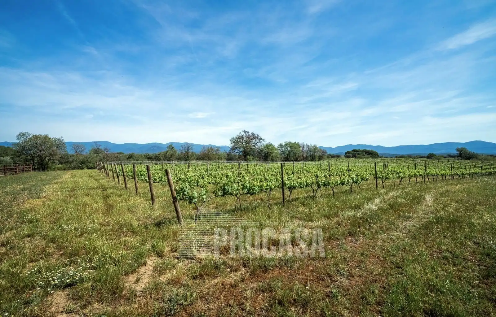 Houses for sale in Masarac i Vilarnadal  with Air Conditioner, Storage room and Swimming Pool