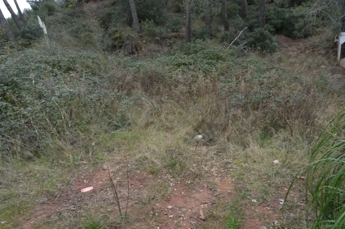 Terreni e lotti in vendita a Corbera de Llobregat, imagen 9