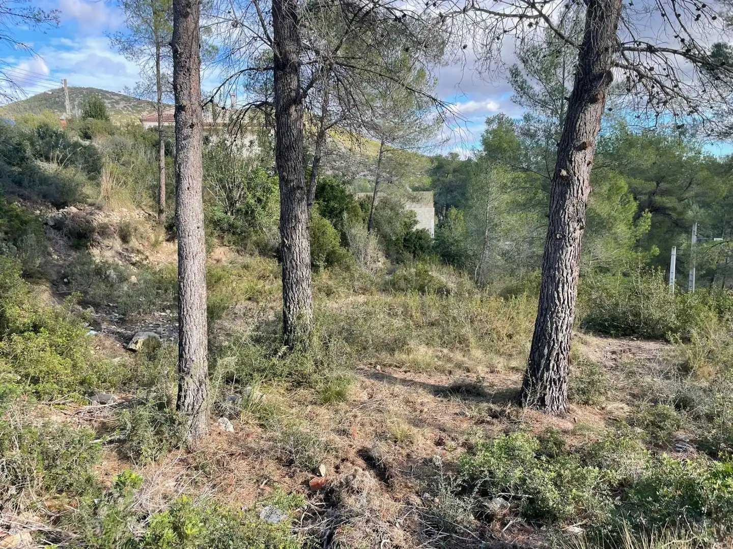 Residential land for sale in Olivella, imagen 10