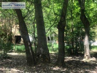 Photo 3 of Residential for sale in Cortes y Graena, Granada