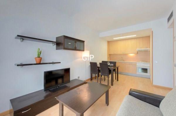 Sala d'estar de Apartament de lloguer en  Madrid Capital amb Aire condicionat, Calefacció i Parquet