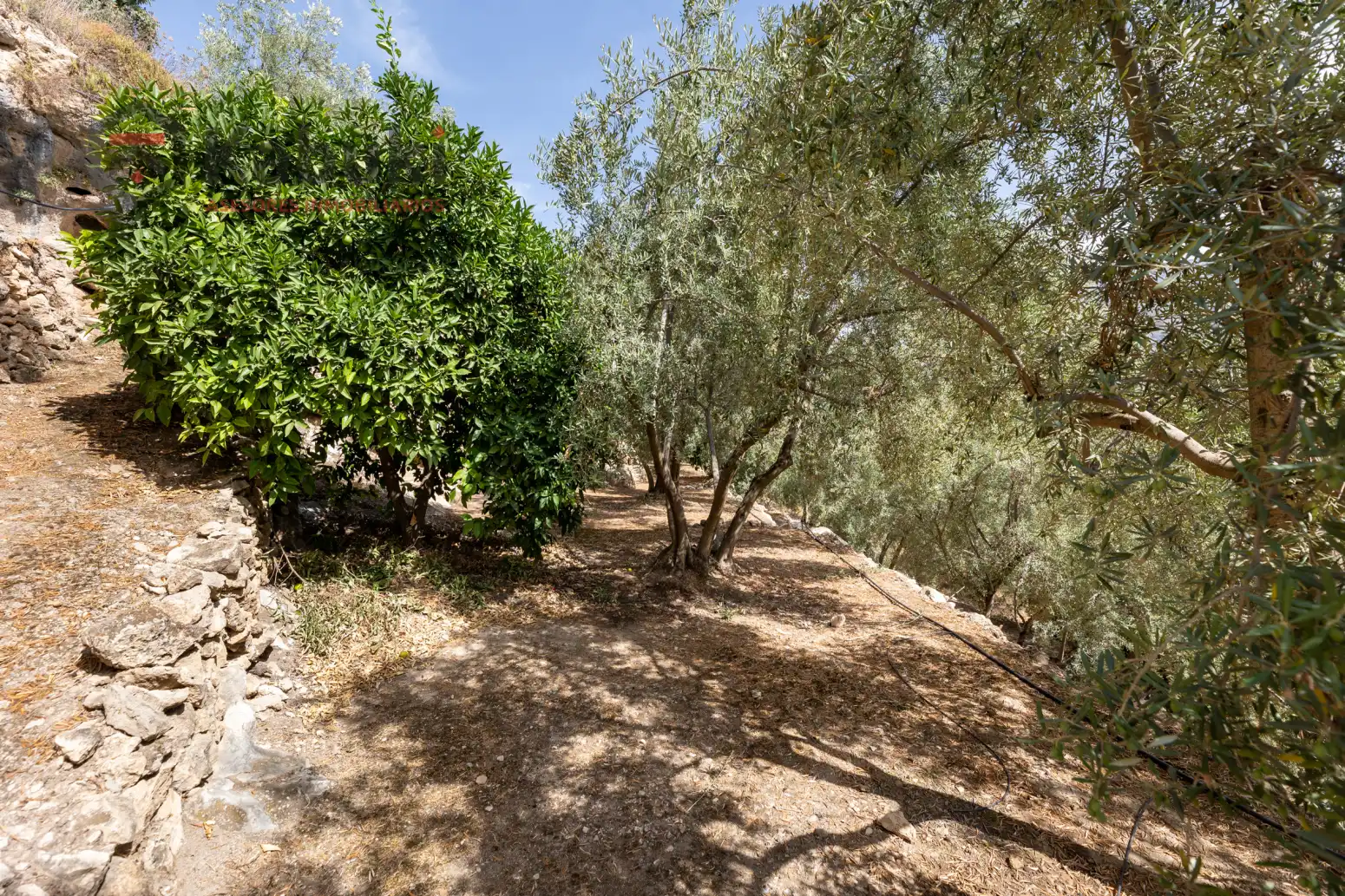 Terreno rustico in vendita a Pinar El - Pantano de Beznar, imagen 11