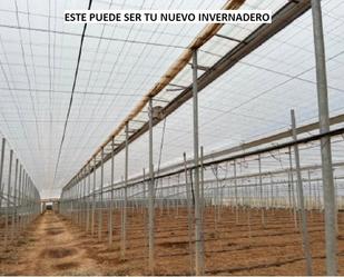 Vista exterior de Terreny en venda en Níjar