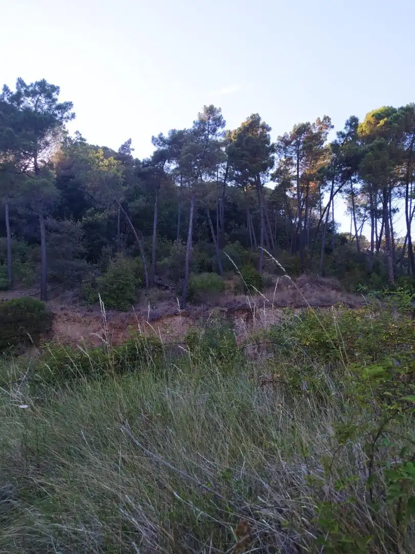 Finca rústica en venta en Riells i Viabrea