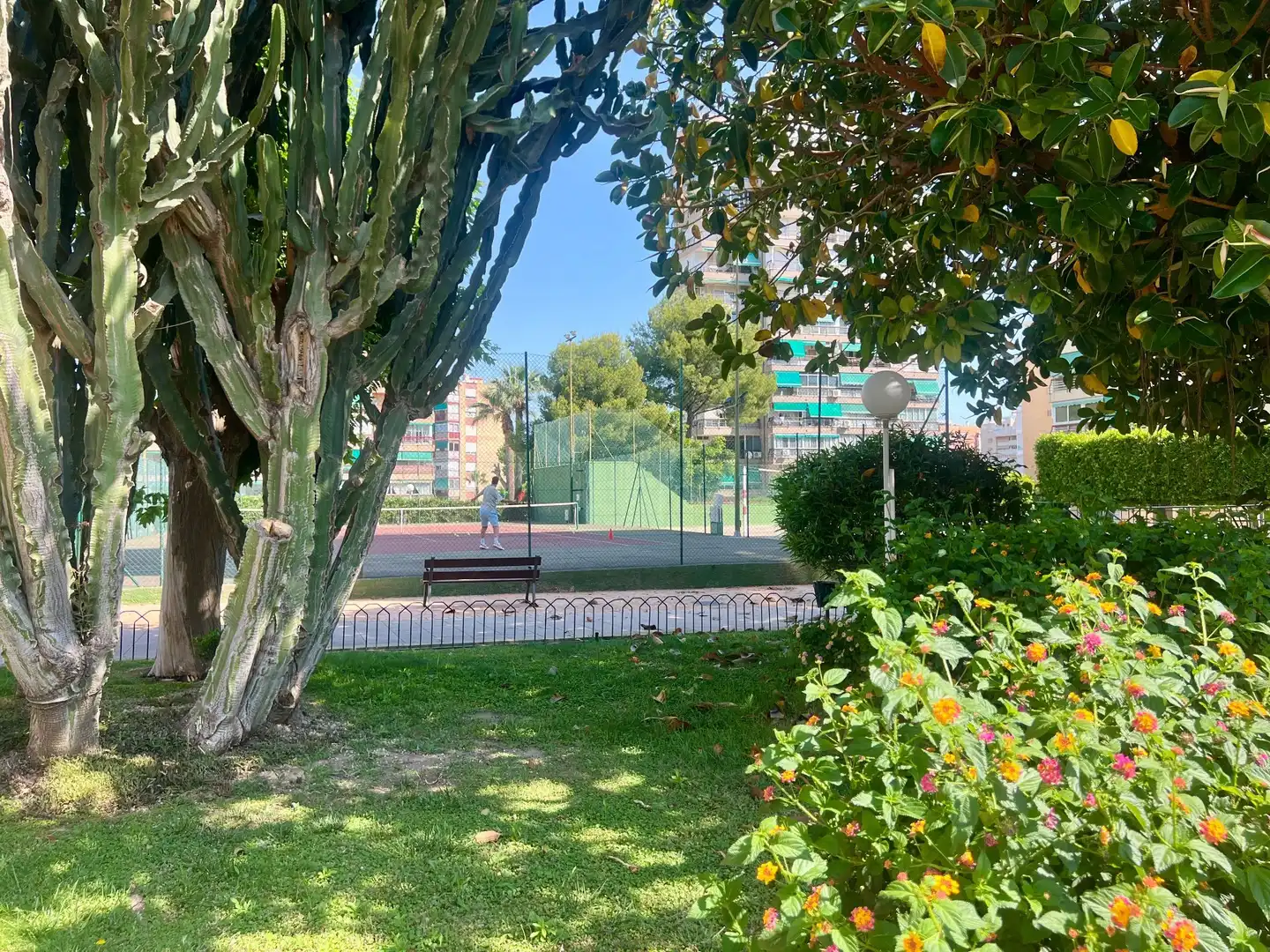 Garden of Flat for sale in Alicante / Alacant  with Air Conditioner, Heating and Terrace