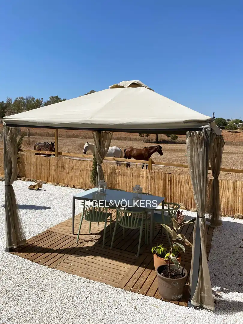 Terraza de Casa o chalet en venta en Alcalá de Guadaira con Calefacción y Jardín privado
