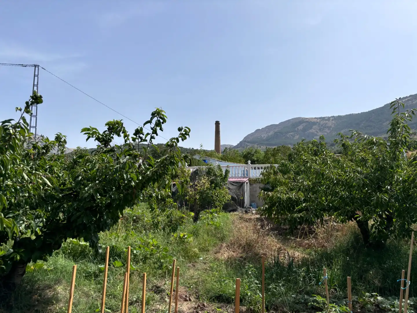 House with garden for sale in Avda de Jaen 47, imagen 19