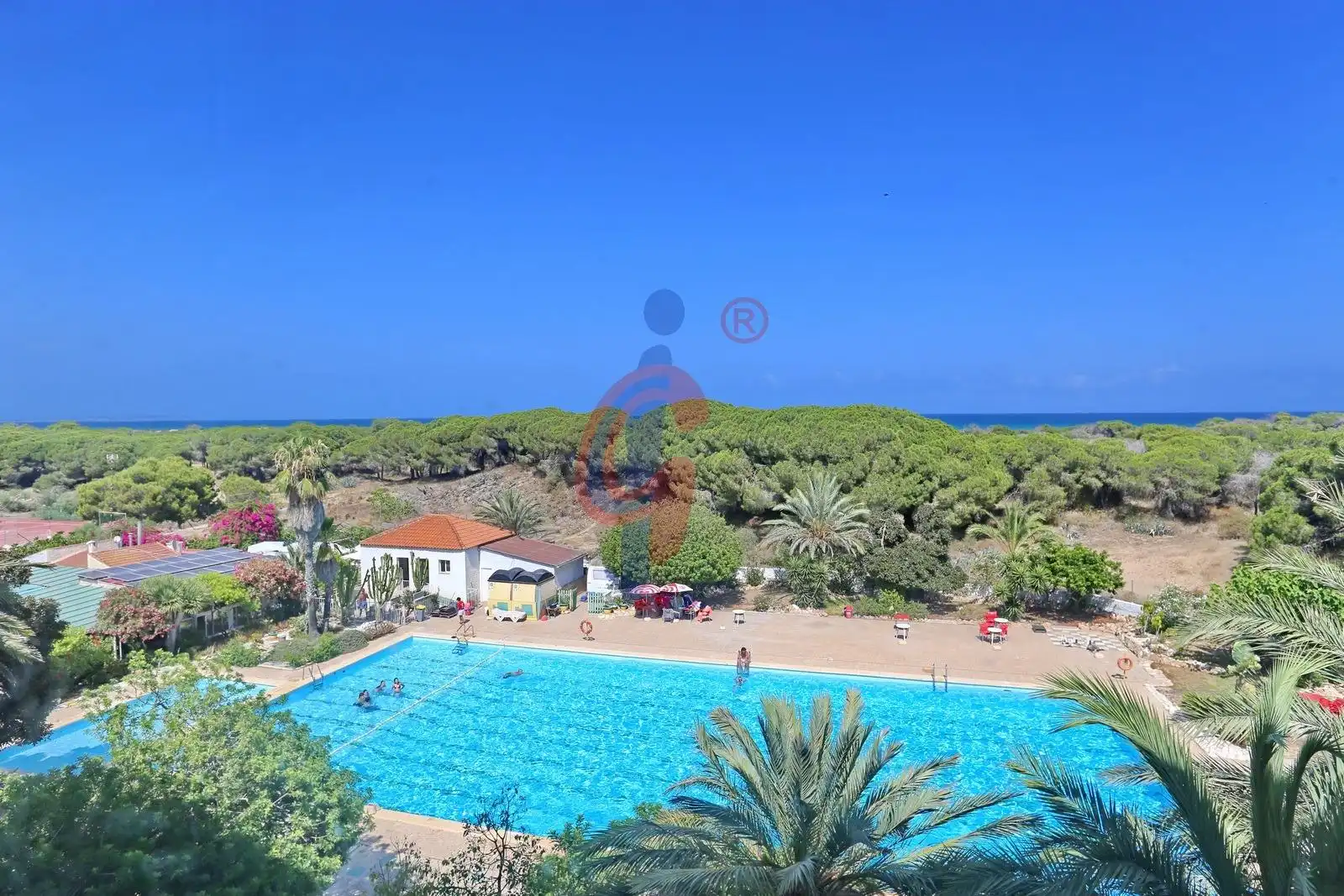 Piscina de Apartament en venda en Guardamar del Segura amb Moblat