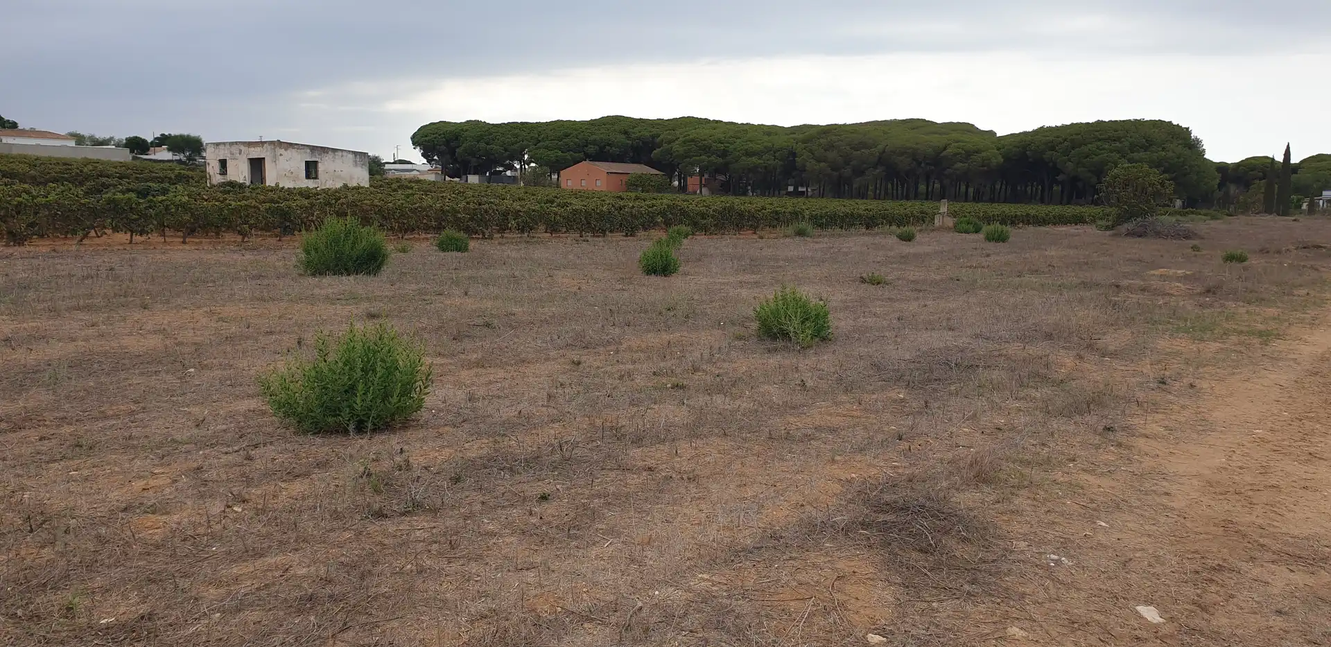 Terrenys i solars en venda a Las Lagunas - Campano, imagen 3